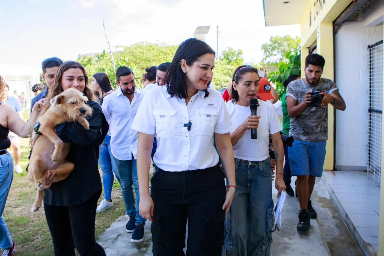 Officials inspect the new specialized animal welfare vehicle in Playa del Carmen