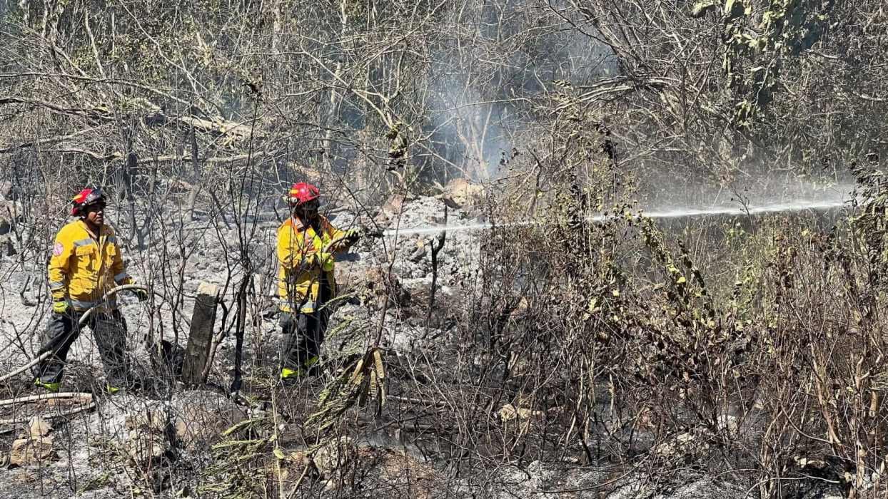 Firefighters from Playa del Carmen's Civil Protection Department working to extinguish a fire along a highway