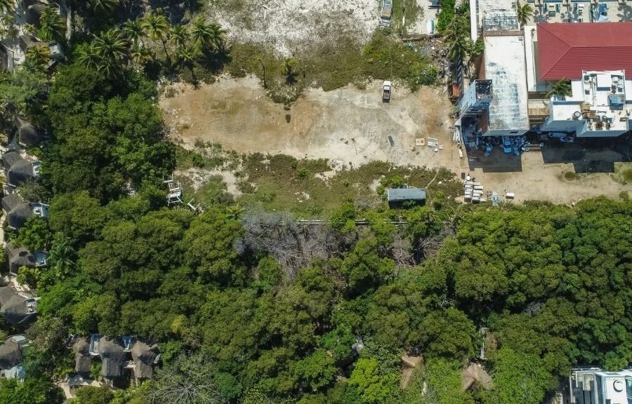 Aerial view of mangrove area in Playa del Carmen, Quintana Roo
