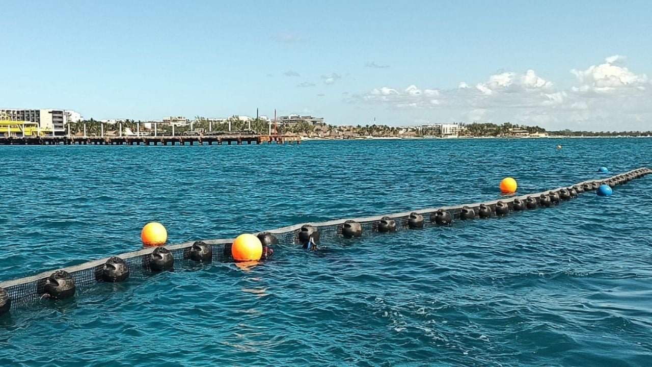 Workers installing anti-sargassum barriers along the coast of Playa del Carmen, Quintana Roo