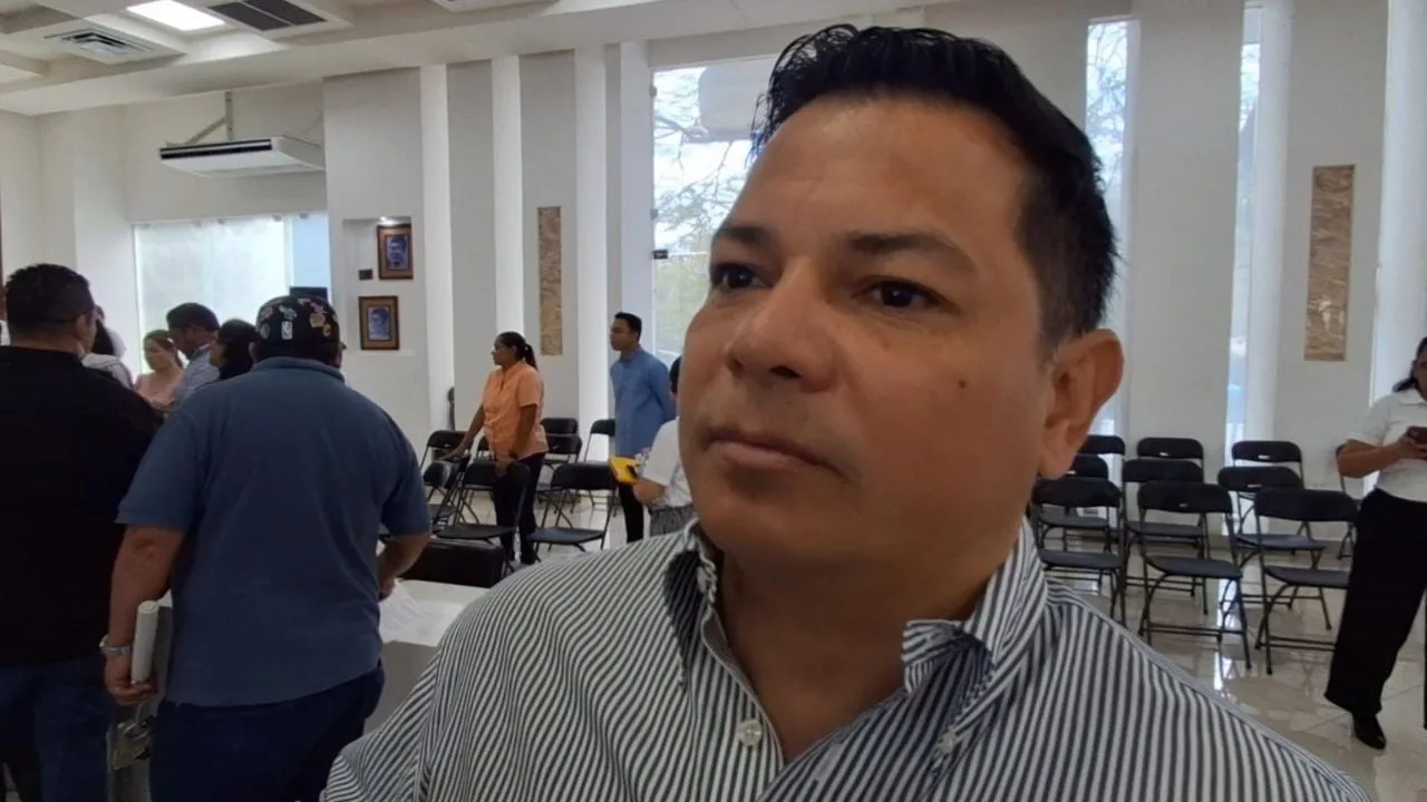 Brigades cleaning sargassum seaweed on a beach in Playa del Carmen