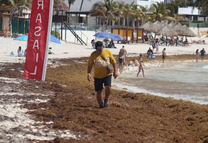 Aerial view of the Poecibis circular economy hub site in Puerto Morelos, Quintana Roo