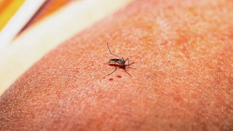 Illustration of a vaccine vial with the Qdenga logo against a medical background