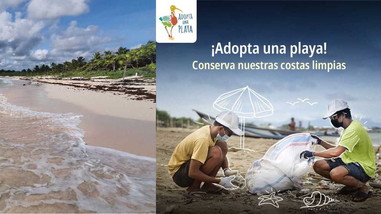 A scenic view of a beach in Quintana Roo, Mexico, with clear blue water and white sand