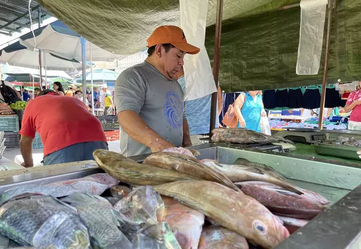 A photo illustrating fishing resources in Quintana Roo, Mexico
