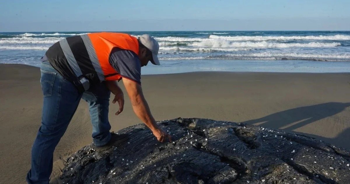 A person wearing an orange vest inspects debris on a beach with waves in the background.$#$ CAPTION