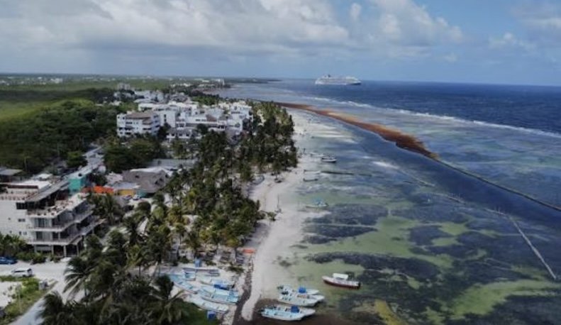 Royal Caribbean officials discussing sargassum mitigation efforts in Mahahual, Quintana Roo