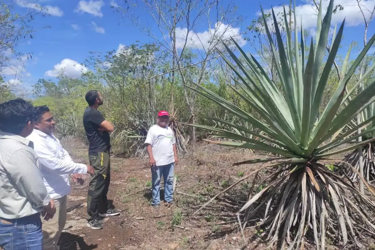 Artisans working with henequen fibers in a workshop in Sahcabá, Yucatan