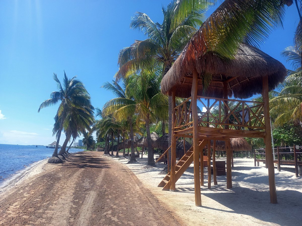 Aerial view of sargassum barriers installed along a Quintana Roo coastline