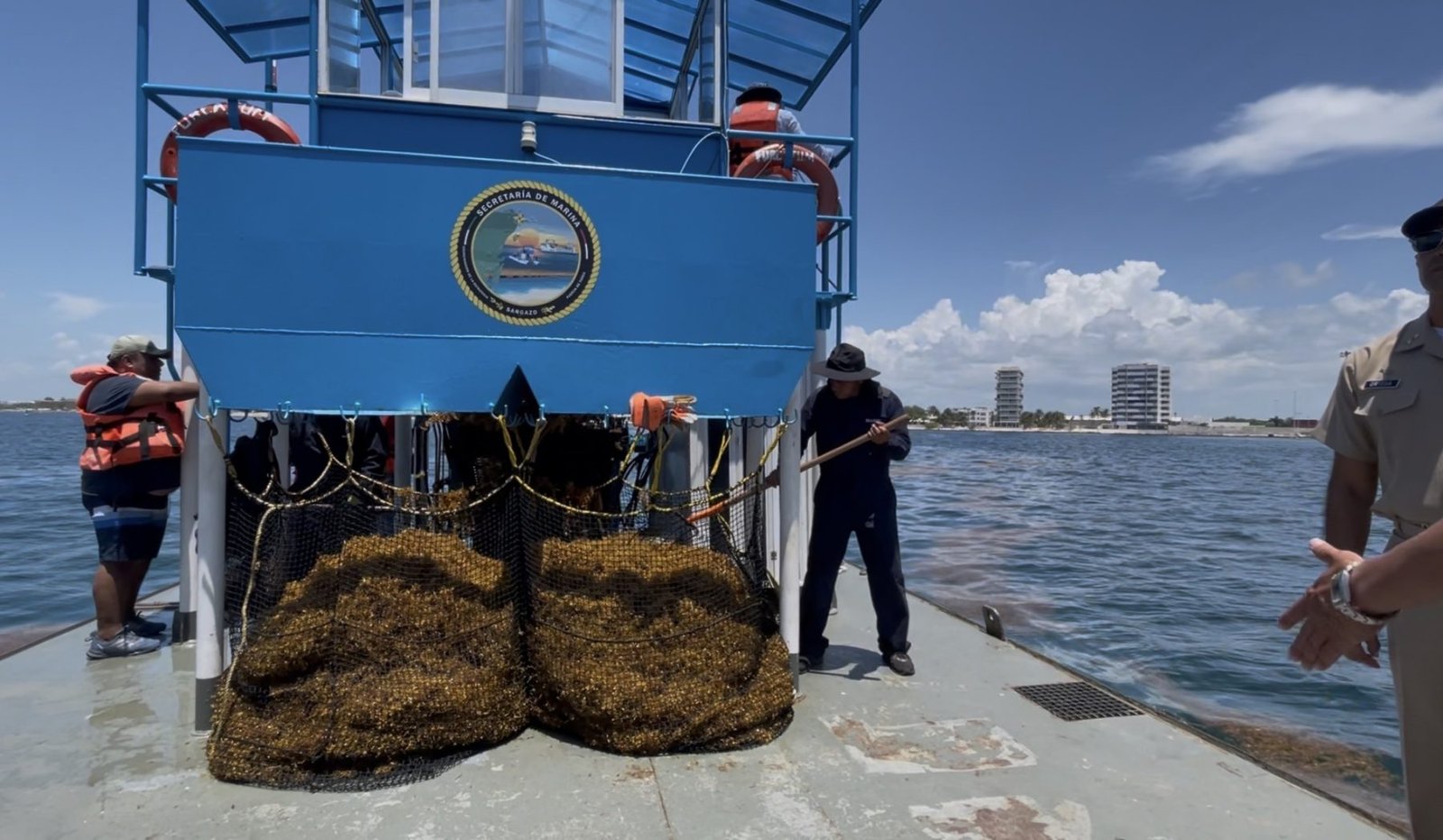 A blue boat engaged in seaweed harvesting, with workers using tools to manage the catch, set against a clear sky and calm water.$#$ CAPTION
