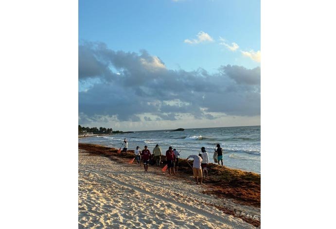 Workers cleaning a beach in Tulum, Mexico