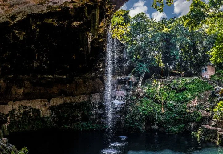 An underwater view of a cenote, part of the extensive cave and river system in Quintana Roo, Mexico.