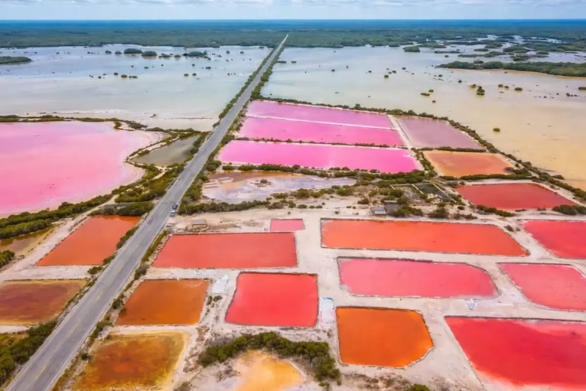 Aerial view of the pink salt flats at Xtampú in Yucatán, Mexico, surrounded by mangroves