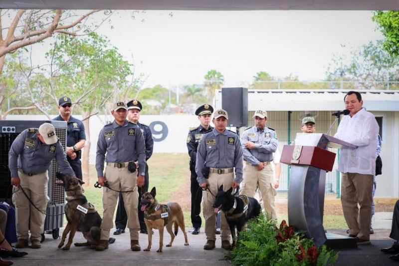 Explosive detection dogs and handlers training in Yucatán as part of a U.S.-Mexico security partnership