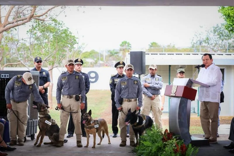 Explosive detection dogs and handlers training in Yucatán as part of a U.S.-Mexico security partnership