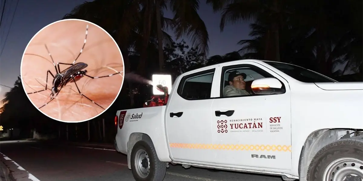 Health workers conduct fumigation operations in Yucatan coastal areas to combat mosquitoes