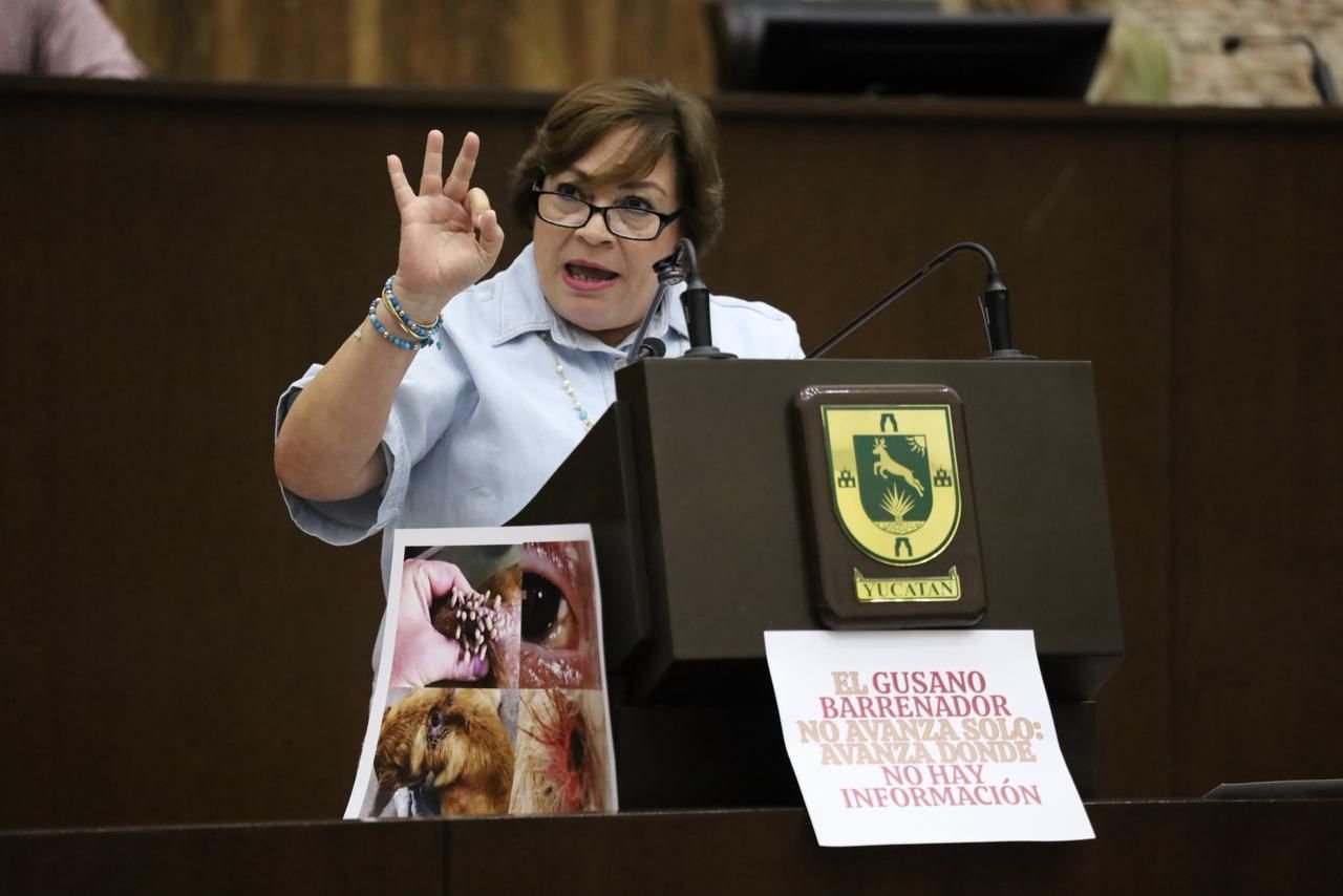 Yucatan state legislators debate the screwworm outbreak during a session