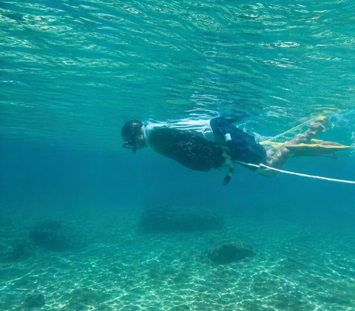 Sargassum barrier installation puerto aventuras