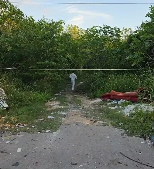 Two burned vehicles found in a brush area in Chetumal, Quintana Roo