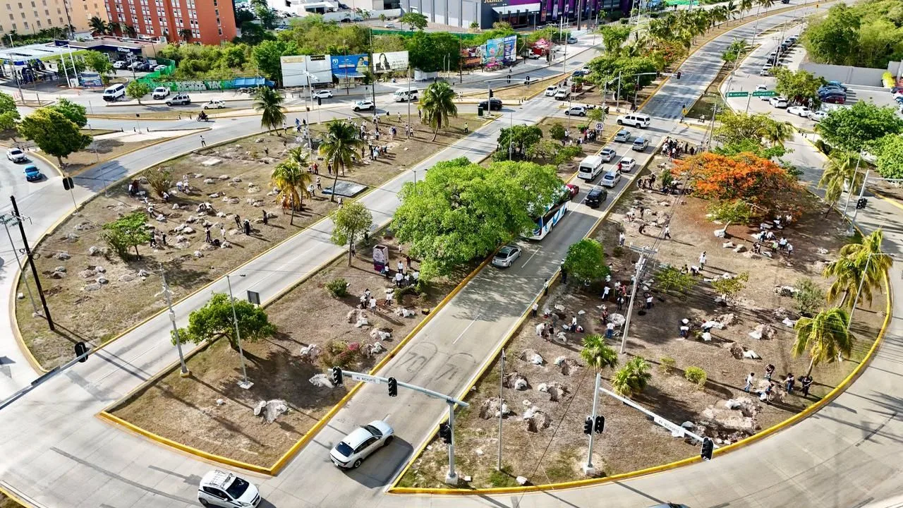 Cancún officials planting trees as part of the Arboriza Cancún reforestation program