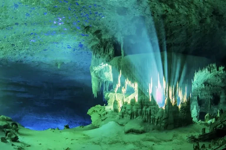 A cenote in the Yucatan Peninsula, a natural sinkhole that also holds archaeological remains.