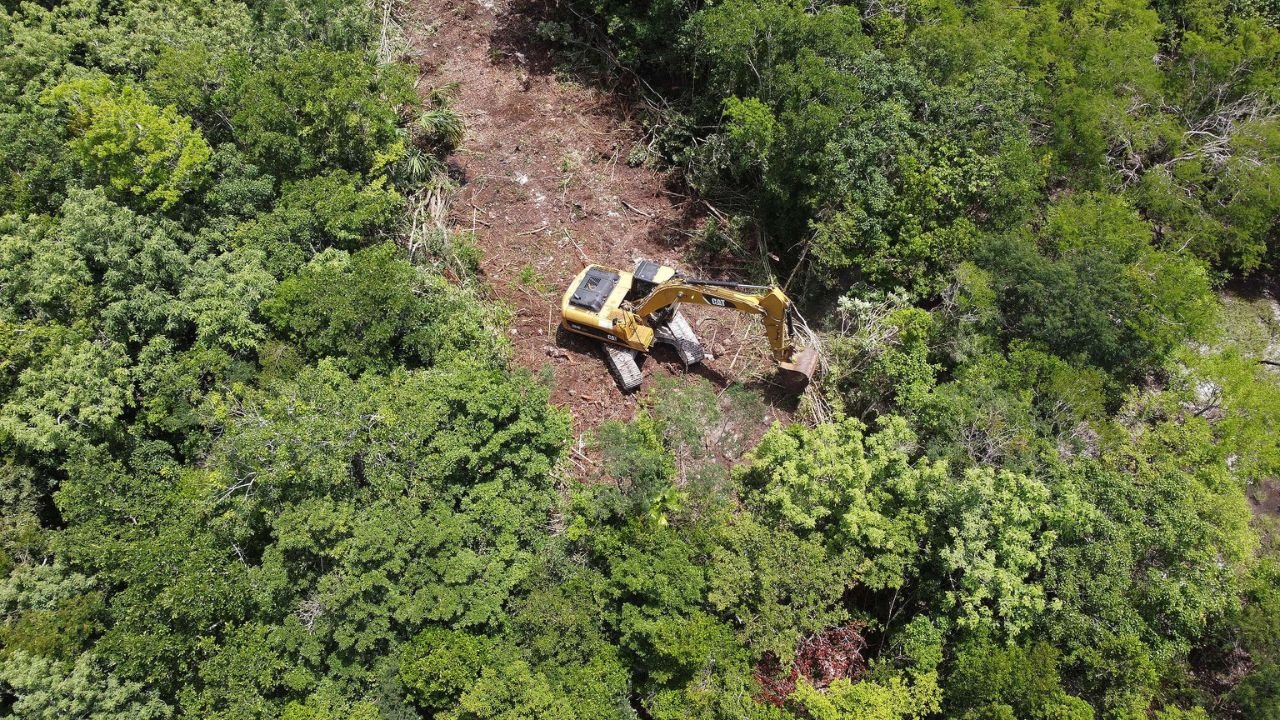 Aerial view showing deforestation and urban development encroaching on jungle in Quintana Roo, Mexico.