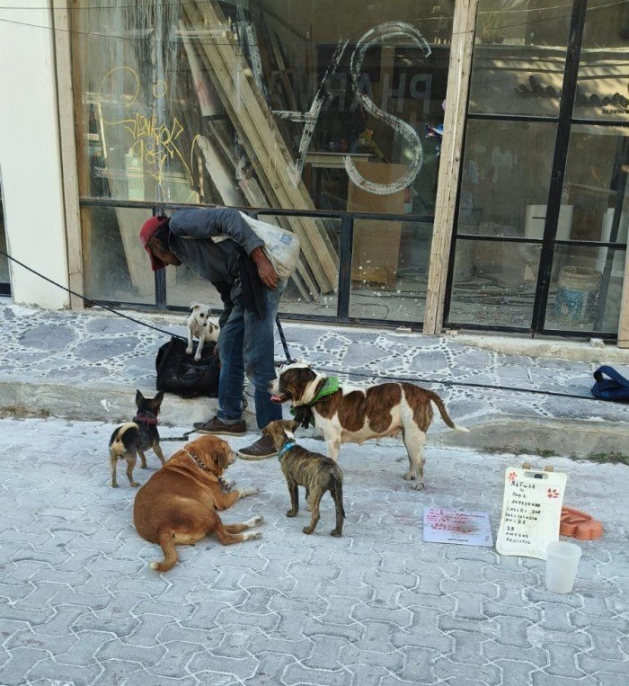 Sergio Beristain, founder of Dog Beach collective, speaking about unregulated dog shelters in Playa del Carmen