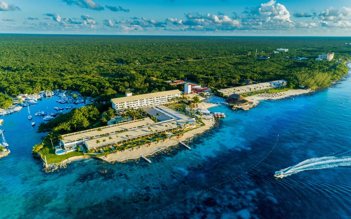 A photograph of an Esmeralda de Isla Cozumel, taken by Ryan Shaw under a Creative Commons license.