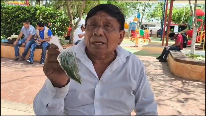 Farmer Jose del Carmen Chuc Tun holding a Ma'ax chili plant in his field in Kancabchen, Quintana Roo