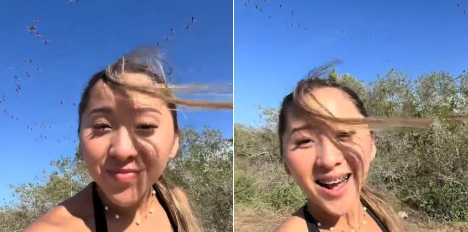 A flock of flamingos flying over the mangrove wetlands in Sisal, Yucatan