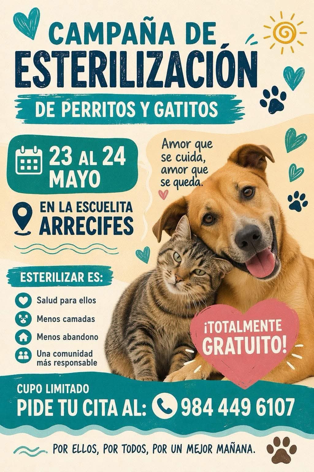A dog and a cat sitting together, representing pets that could benefit from the free spay-neuter campaign in Tulum.