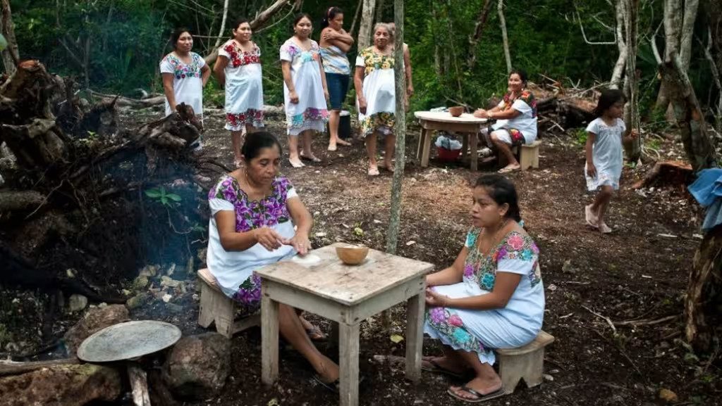 A group of women and children engaged in traditional cooking in a forested area, with some women standing and others sitting at tables with food preparation materials. Various colorful dresses are worn by the women, showcasing cultural attire.