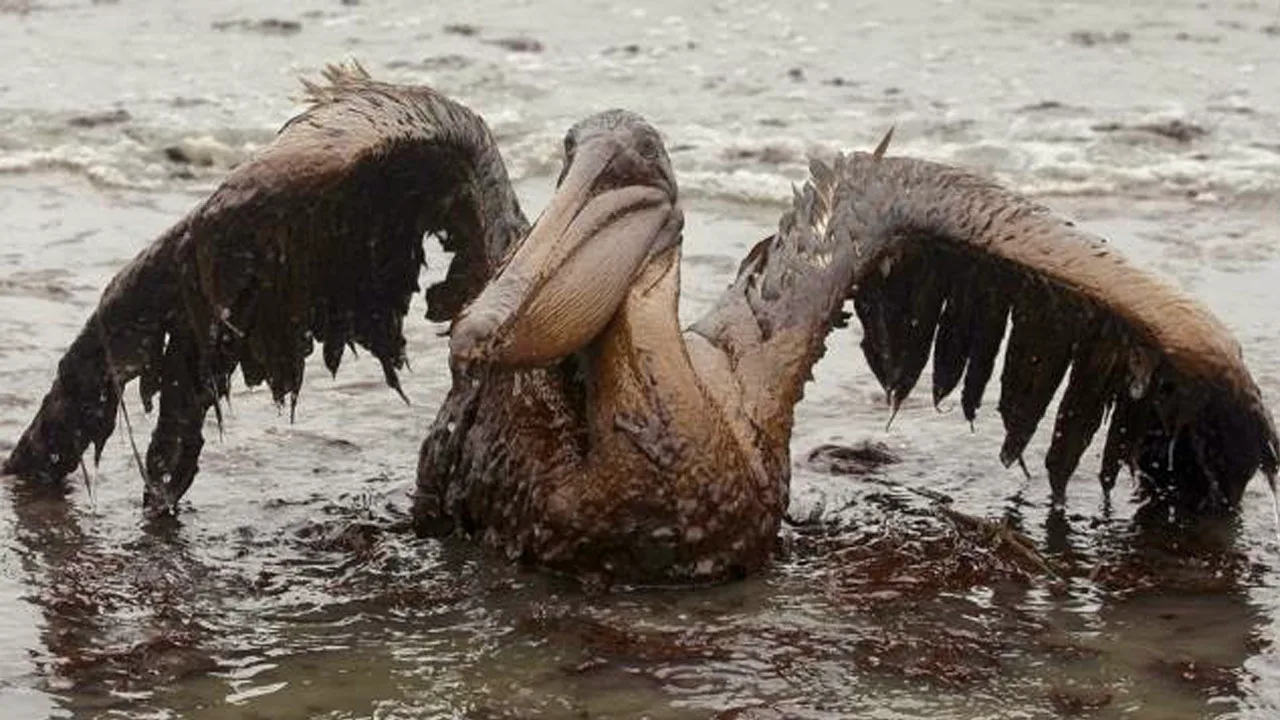 Aerial view showing hydrocarbon contamination in the Gulf of Mexico from a Pemex pipeline leak