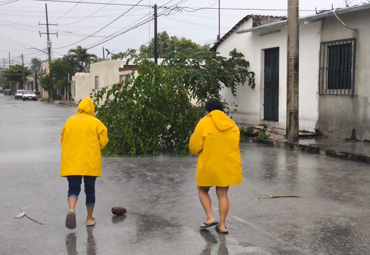 Graphic showing hurricane season forecast for 2026 with 11 to 15 cyclones expected in the Atlantic