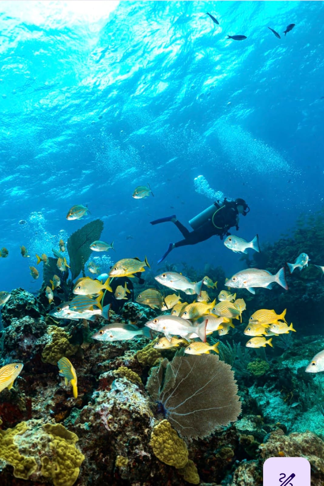 Mayor Atenea Ricalde presenting the Digital Diving Guide of Isla Mujeres at the Tianguis Turístico in Acapulco