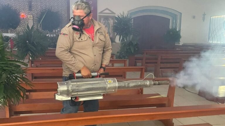 Isla Mujeres Authorities Intensify Mosquito Control Efforts Ahead of ...