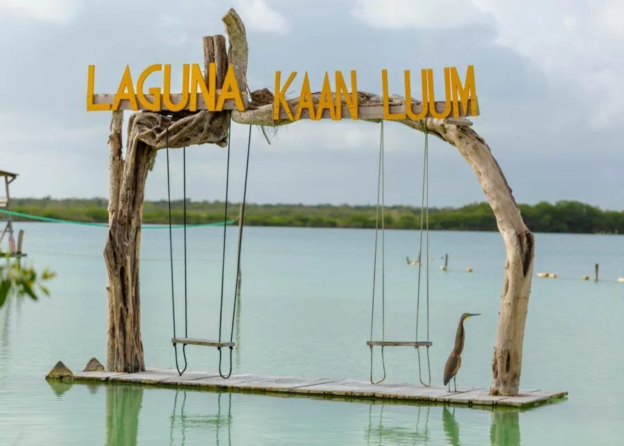A view of Kaan Luum Lagoon in Tulum, with clear waters and surrounding jungle, following the opening of a new restaurant.