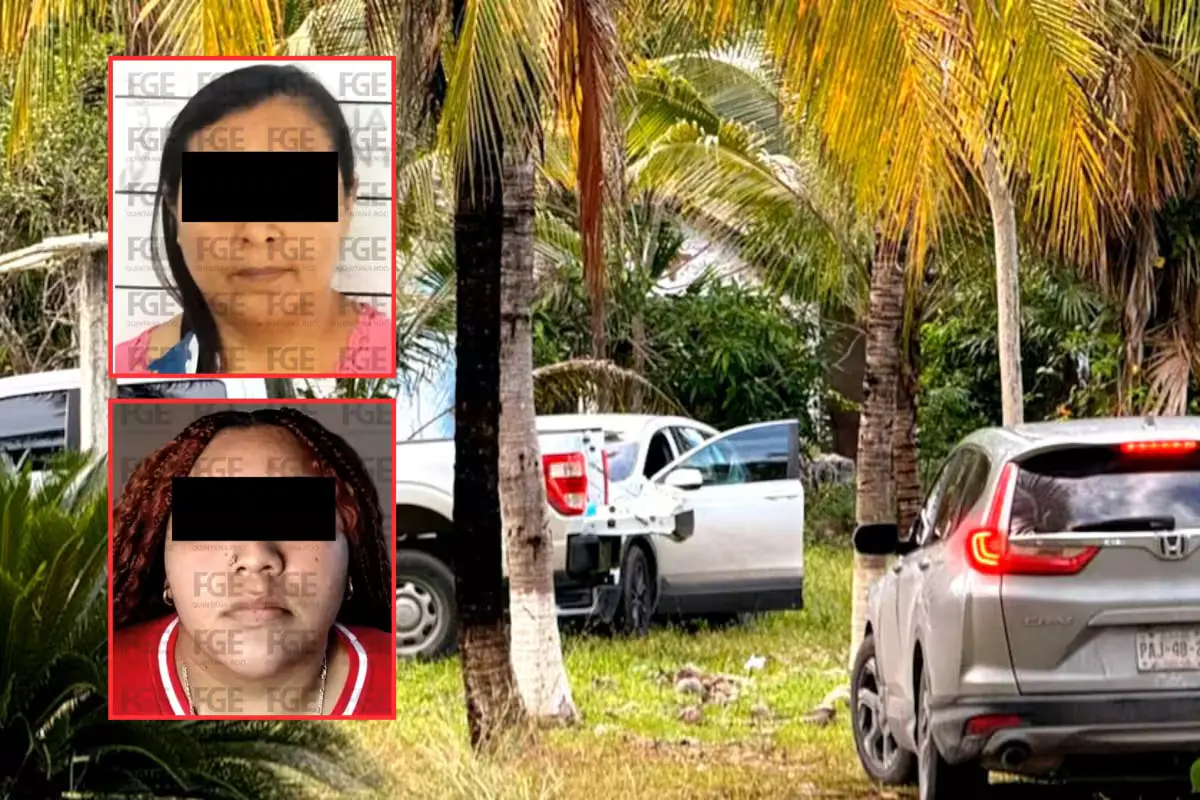 Aerial or ground view of the suspected clandestine burial site in Leona Vicario, Quintana Roo, with authorities present.