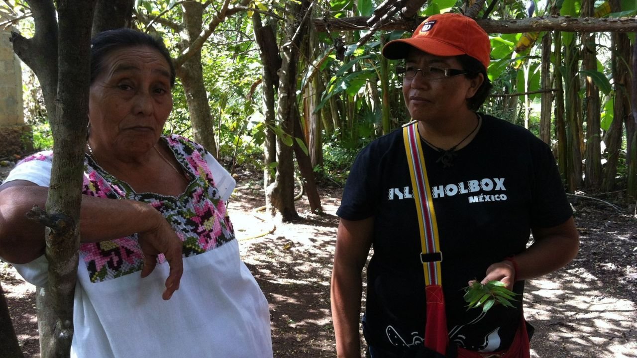 A Maya community member tends to medicinal plants in a traditional garden in Felipe Carrillo Puerto, Quintana Roo.