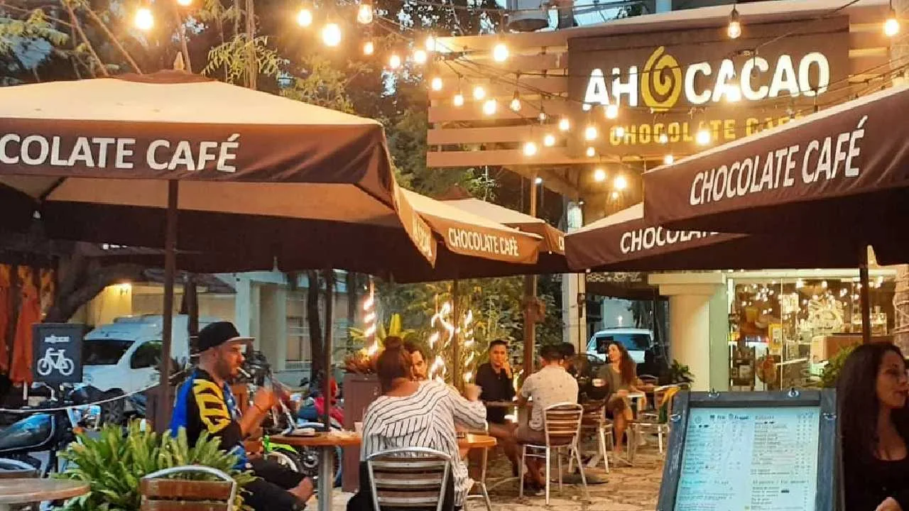 A selection of fine chocolate bars and products from Pasión Cacao, a Mexican chocolate brand based in Playa del Carmen.