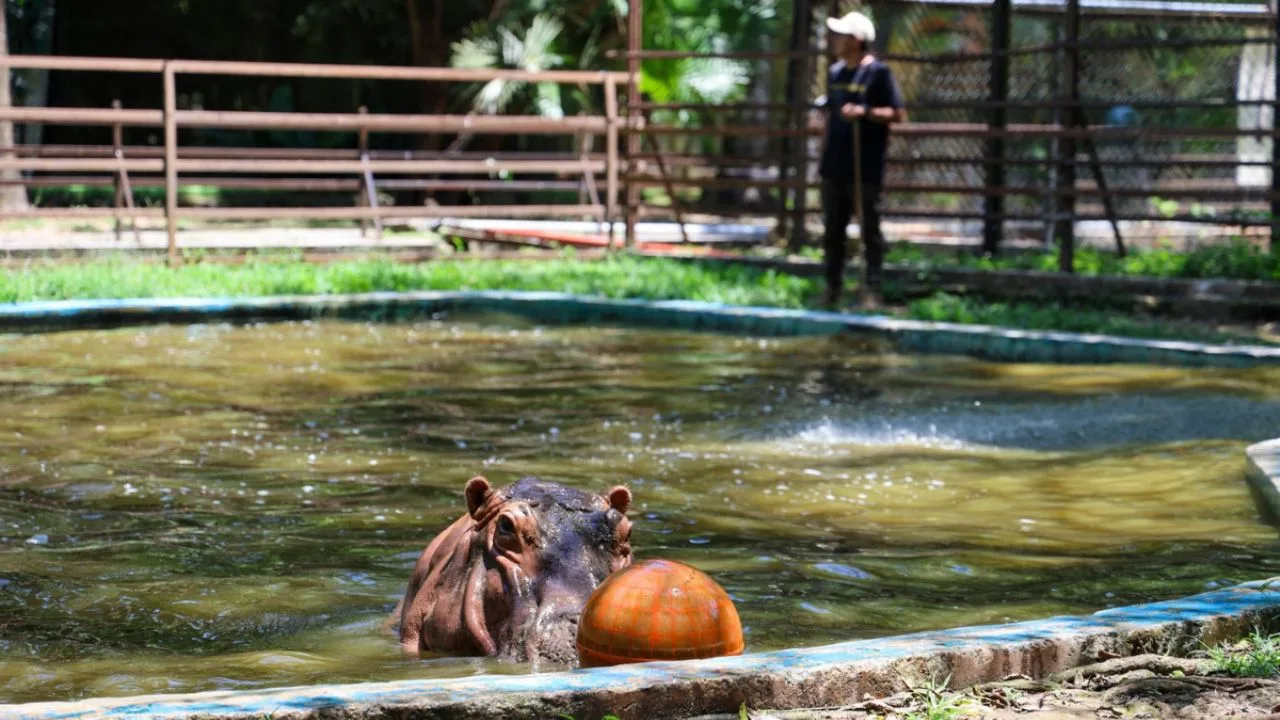 Governor Mara Lezama presents the modernization project for Payo Obispo Zoo in Chetumal, Quintana Roo