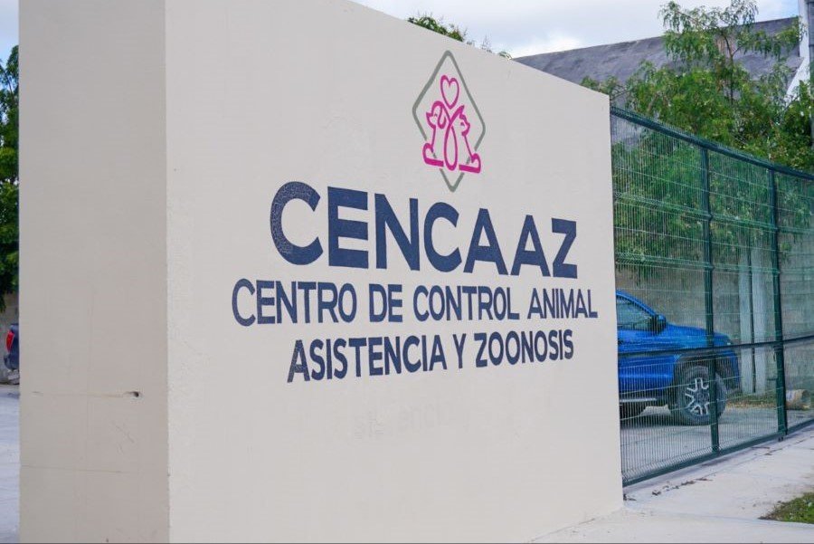 A petition form with signatures for the Playa del Carmen animal control center