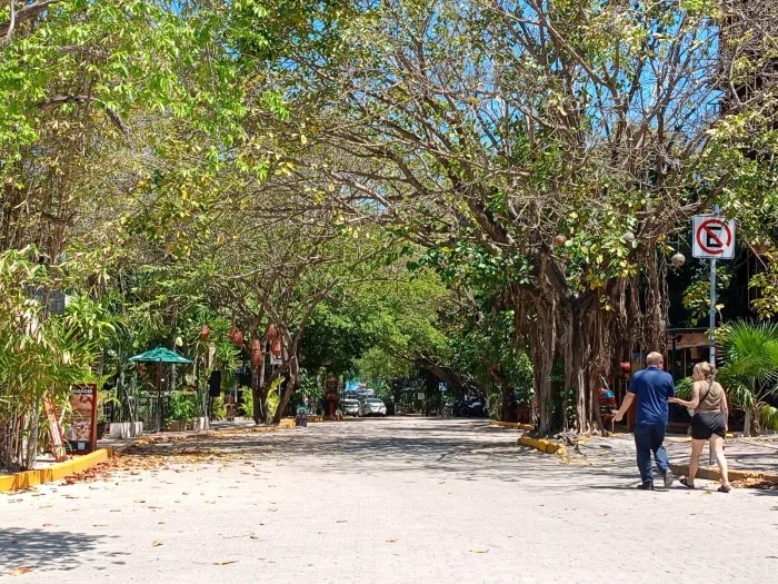 A view of trees in Playa del Carmen, Mexico, with people walking nearby