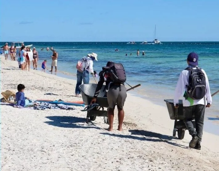 Workers and heavy machinery cleaning a beach in Puerto Morelos, Mexico