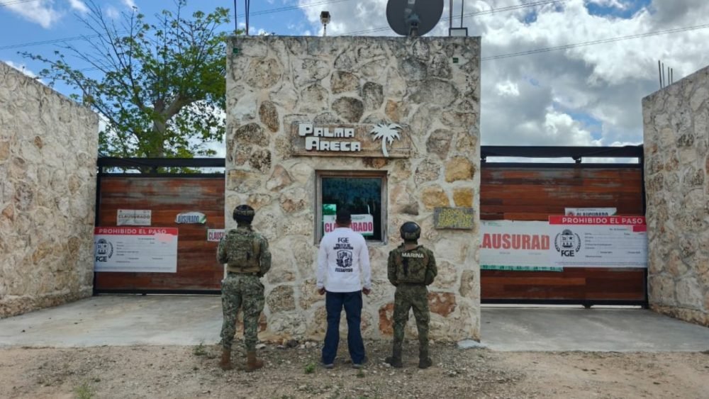 Authorities conducting an operation at a property in Puerto Morelos, Quintana Roo