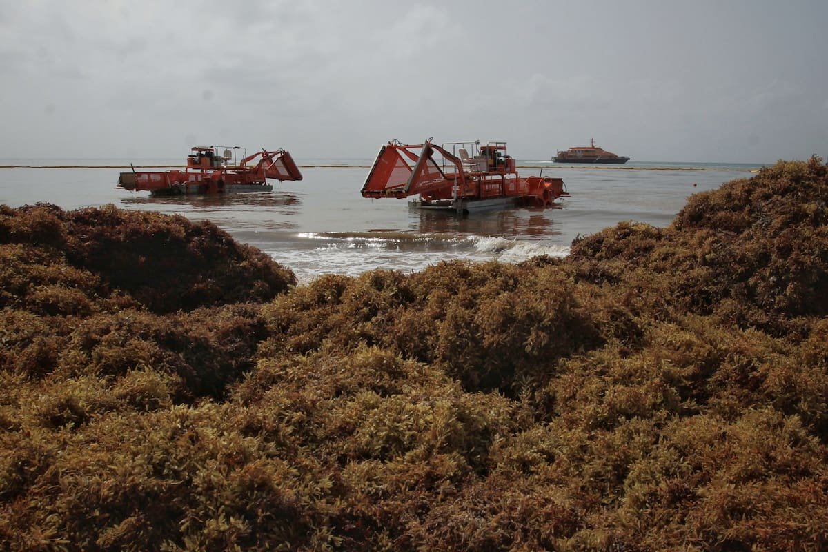 View of dredges collecting sargassum on Playa del Carmen beach in Quintana Roo, Mexico