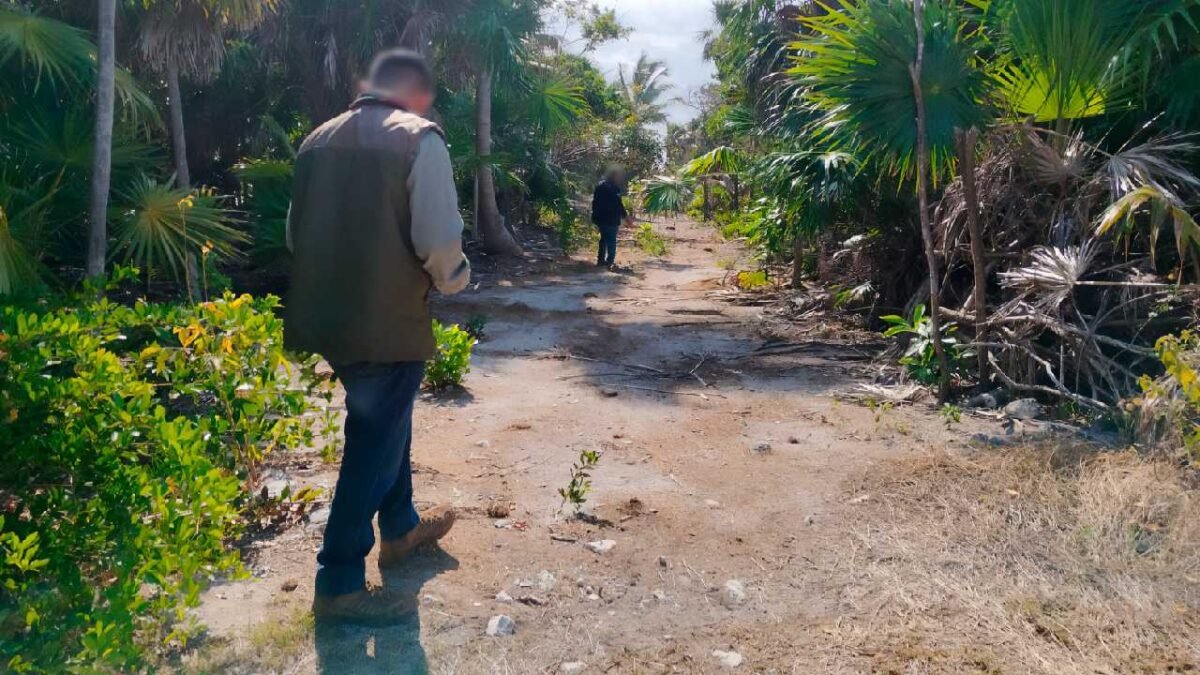 Aerial view of the Sian Ka'an Biosphere Reserve in Quintana Roo, Mexico