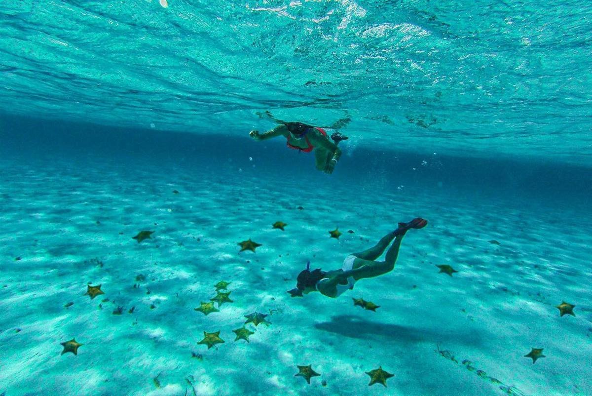 A snorkeler observes starfish in the clear shallow waters of El Cielo, Cozumel.