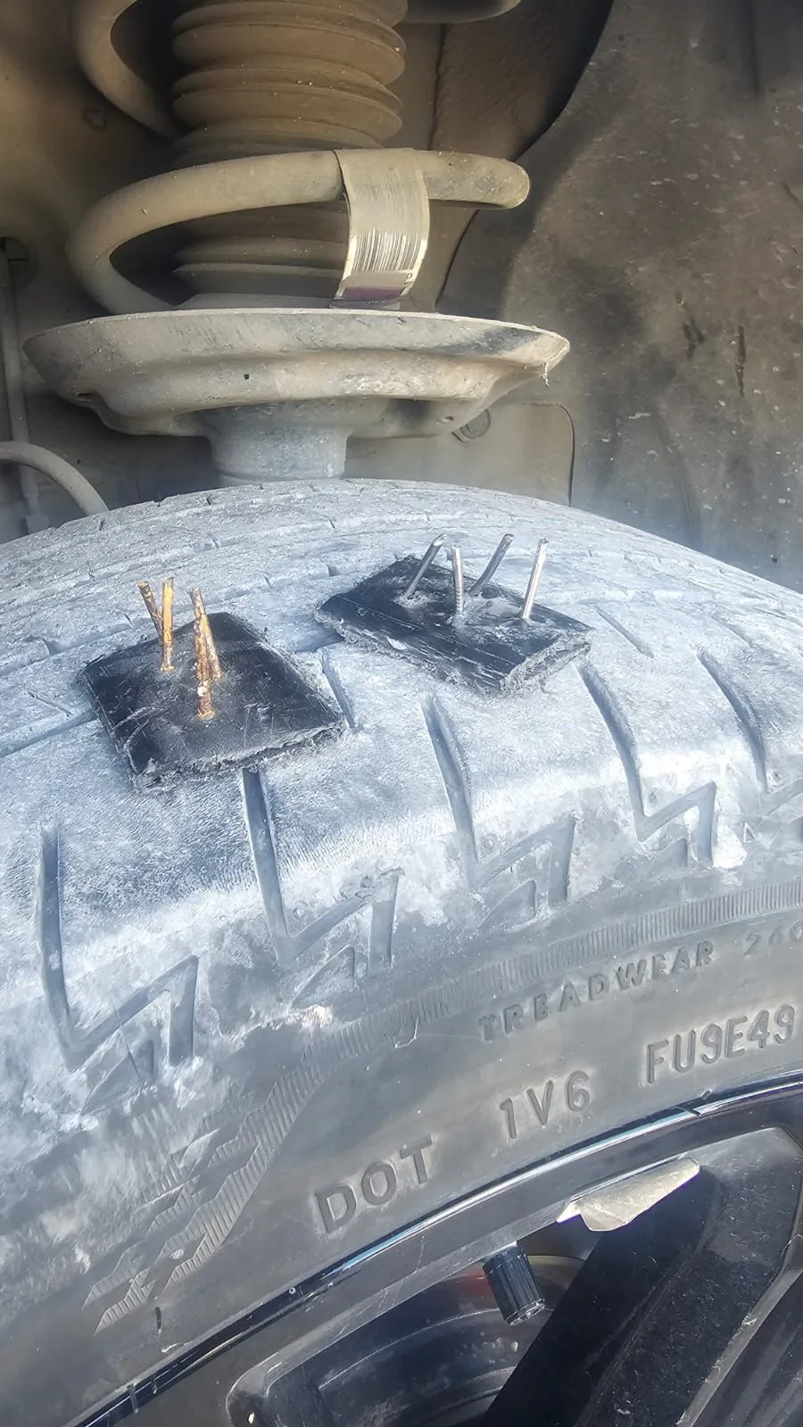 A view of the Tulum-Cobá highway, a road surrounded by jungle vegetation