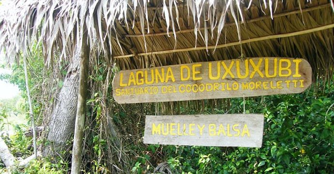 A damaged road in Uxuxubí, Quintana Roo, with vegetation on either side